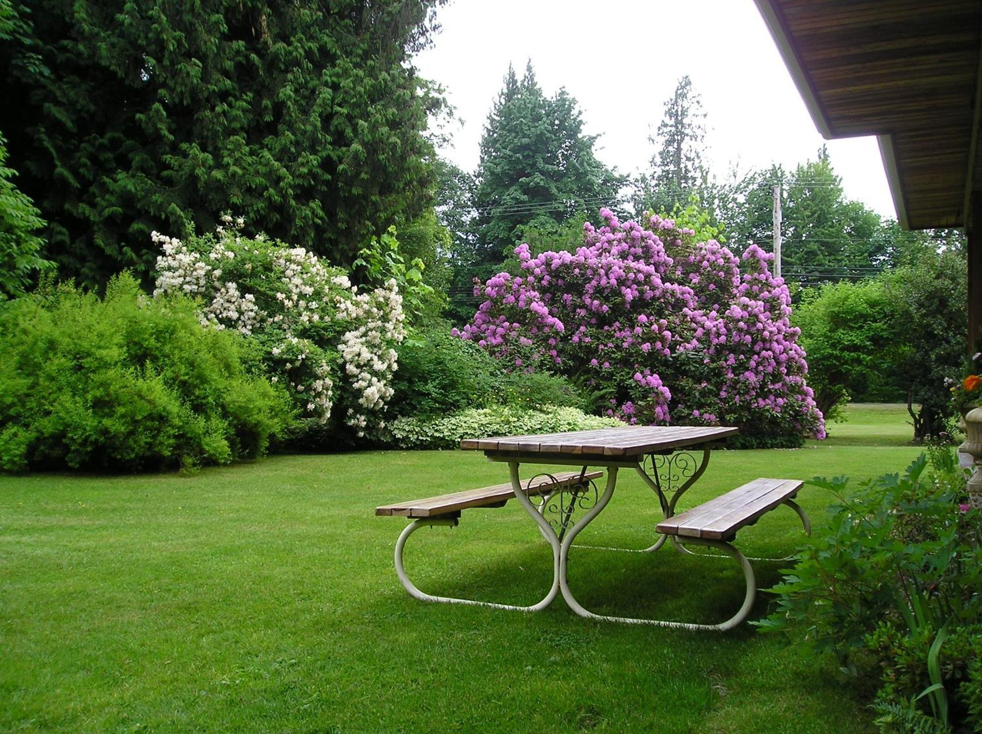 Cedar Wood Lodge Bed & Breakfast Inn Port Alberni Zewnętrze zdjęcie