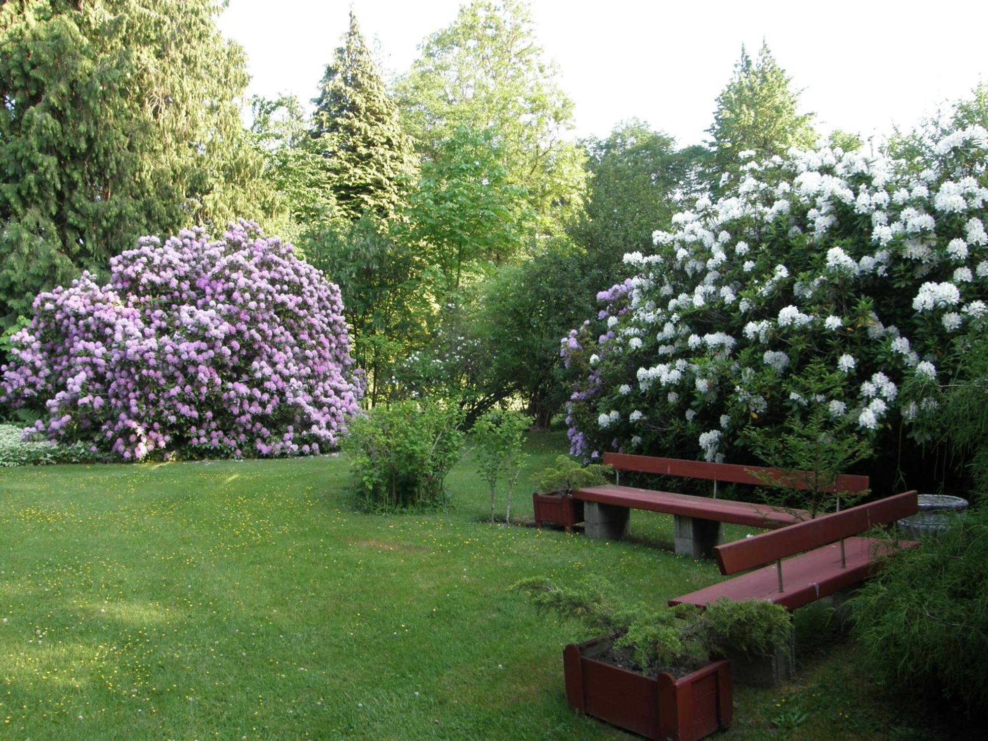 Cedar Wood Lodge Bed & Breakfast Inn Port Alberni Zewnętrze zdjęcie