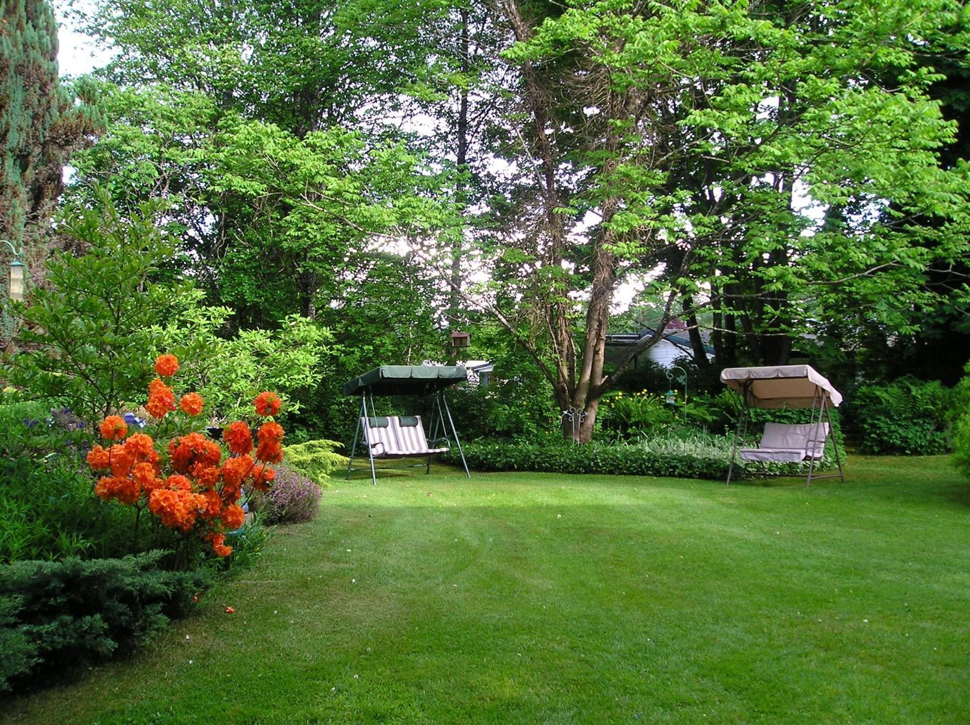 Cedar Wood Lodge Bed & Breakfast Inn Port Alberni Zewnętrze zdjęcie